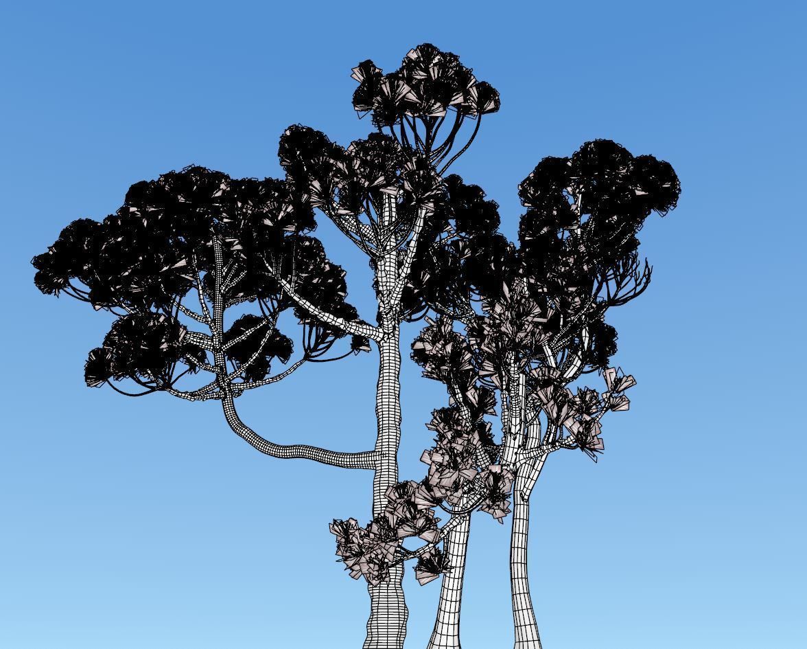 Conifer Tree 004 3D model_10