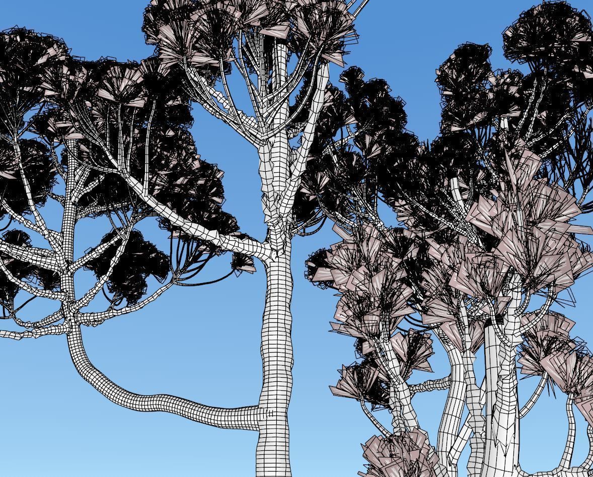 Conifer Tree 004 3D model_11