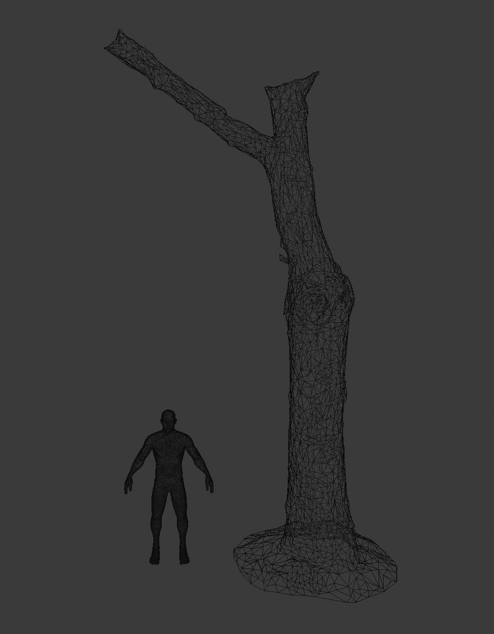Tree dead 02 Scan  Low-poly 3D model_3