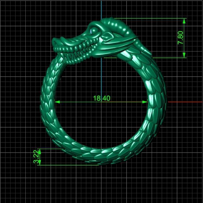 Ouroboros ring dragon biting its own tail 3D print model_19