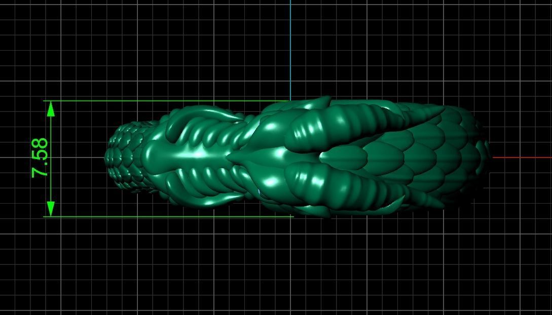 Ouroboros ring dragon biting its own tail 3D print model_17