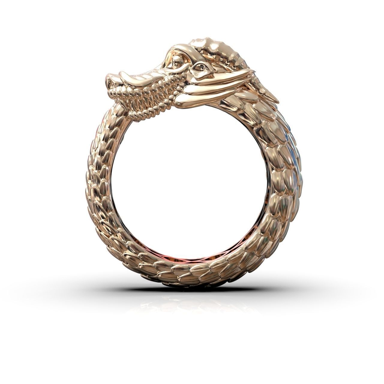 Ouroboros ring dragon biting its own tail 3D print model_7