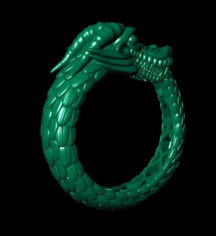 Ouroboros ring dragon biting its own tail 3D print model_24