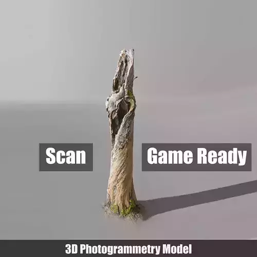 Tree dead 03 Scan  Free low-poly 3D model