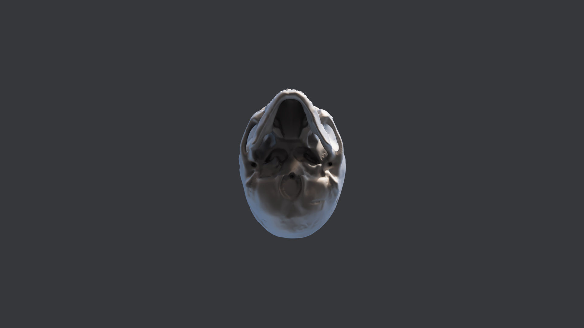 Human Skull 3D print model_3
