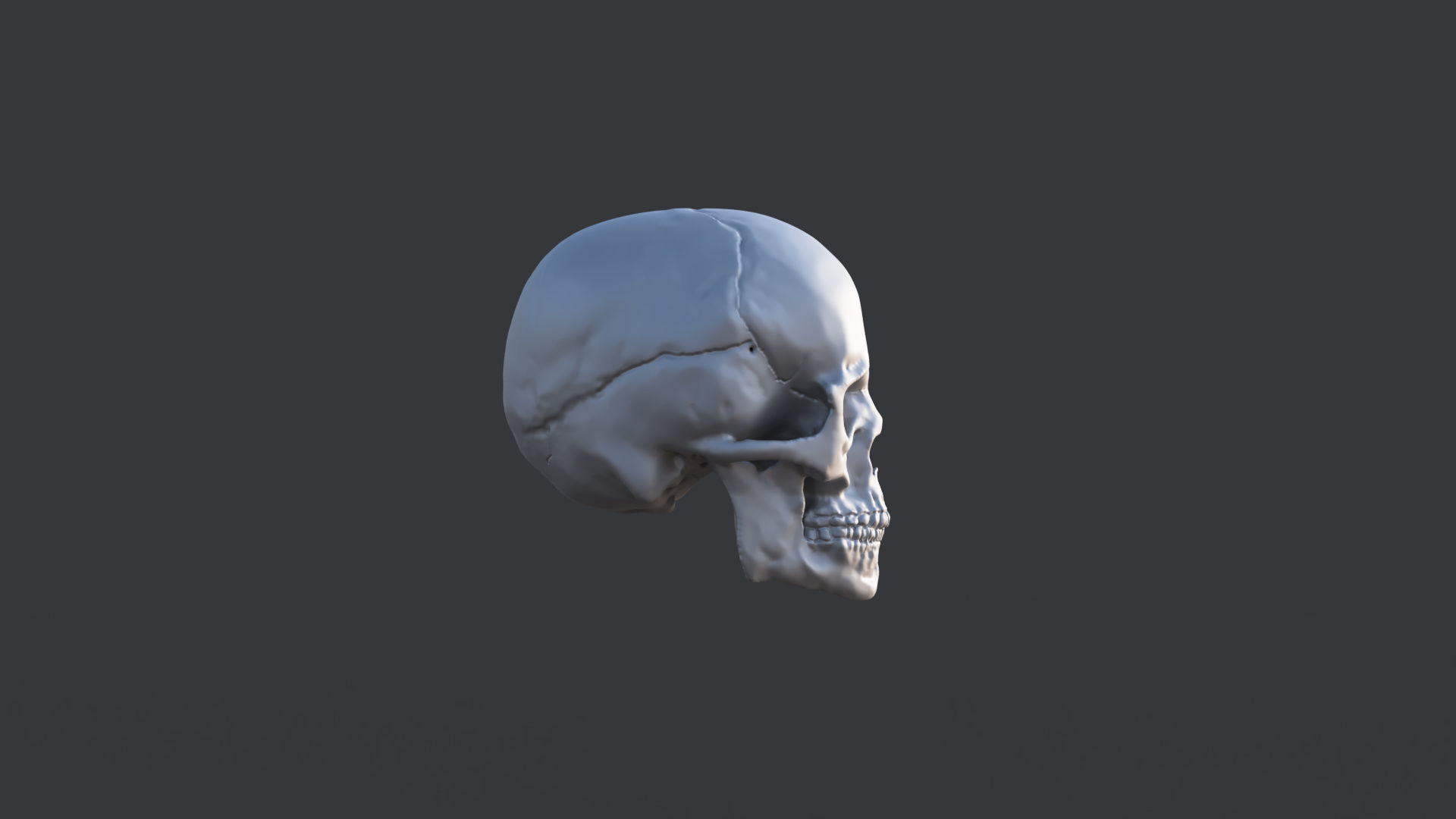 Human Skull 3D print model_1