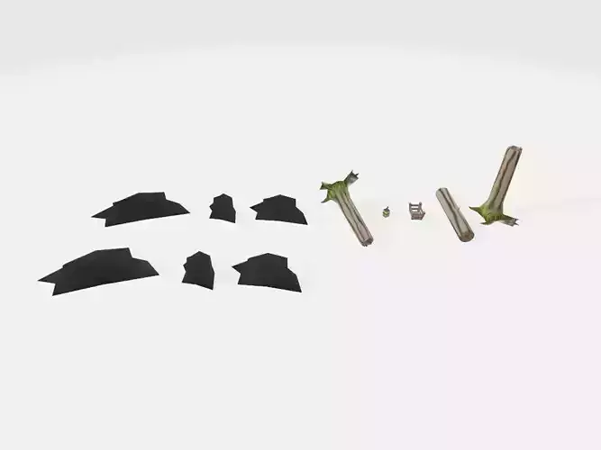 Forest Logs and Rocks