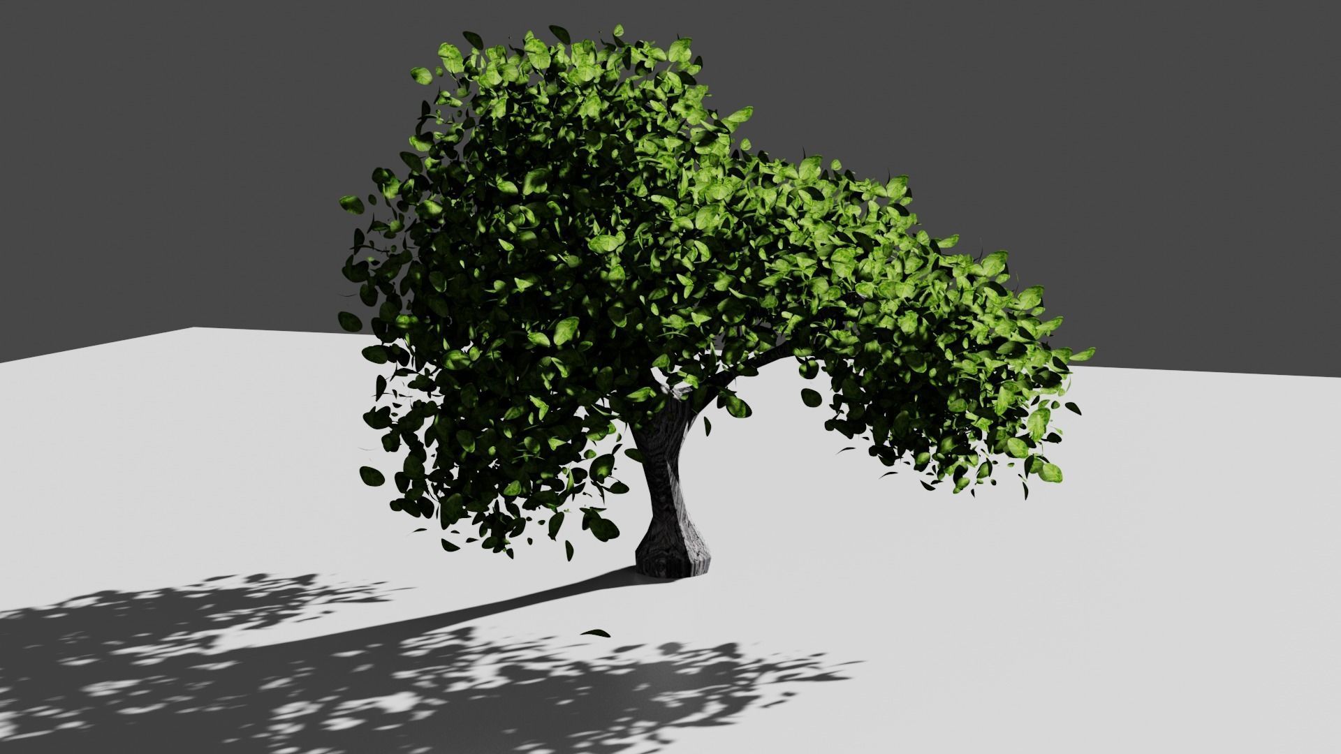 Free Tree lowpoly for eviroment Free 3D model_5