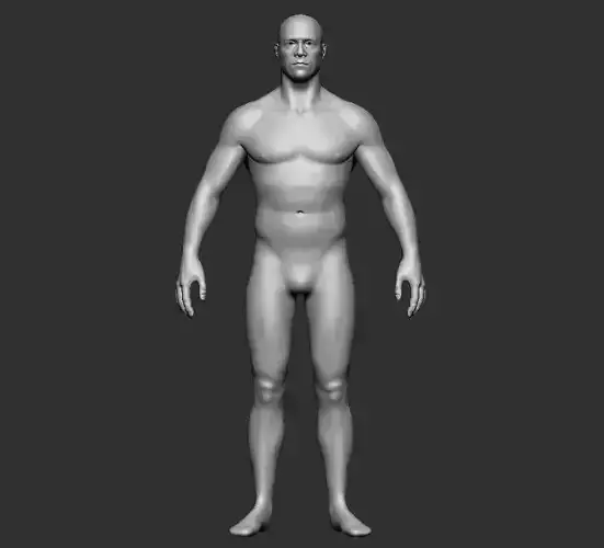 BASE MESH MALE BODY 2 3D print model