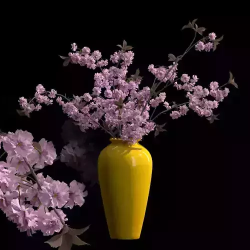 Japanese cherry brances in yellow vase