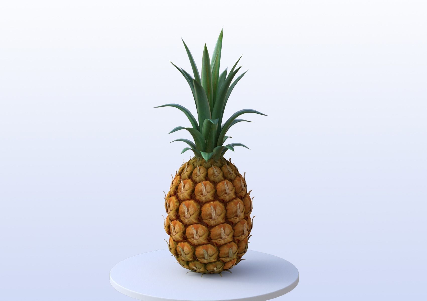 Pineapple 3D model_1