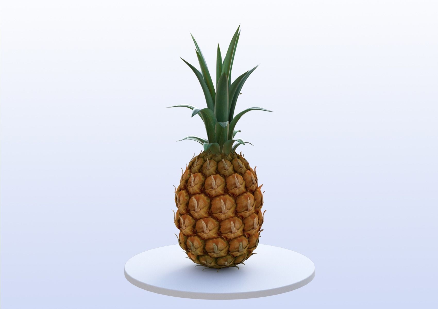 Pineapple 3D model_3