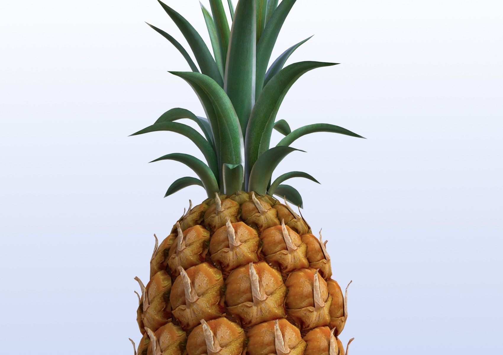 Pineapple 3D model_5