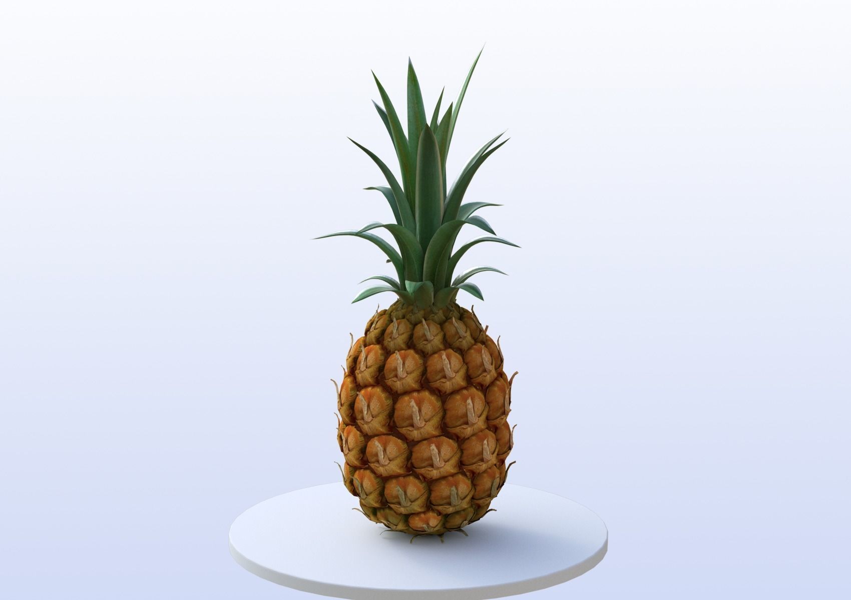 Pineapple 3D model_2