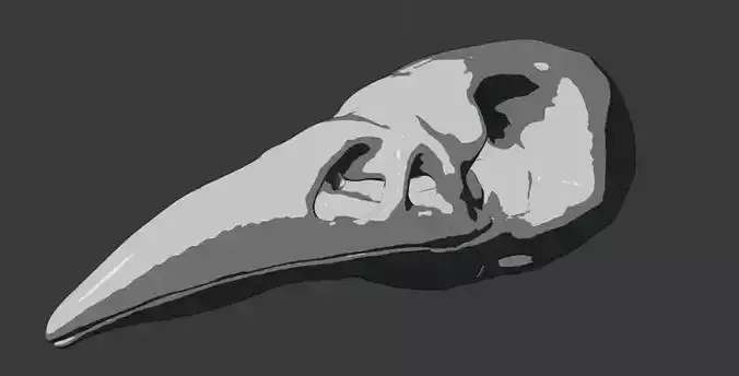 CROW SKULL Low-poly 3D model