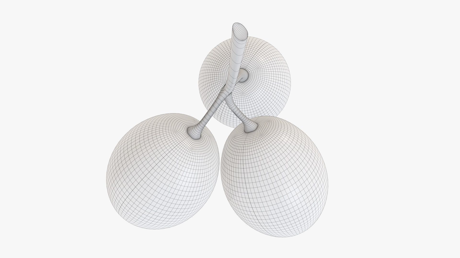 Grapes 01 3D model_10