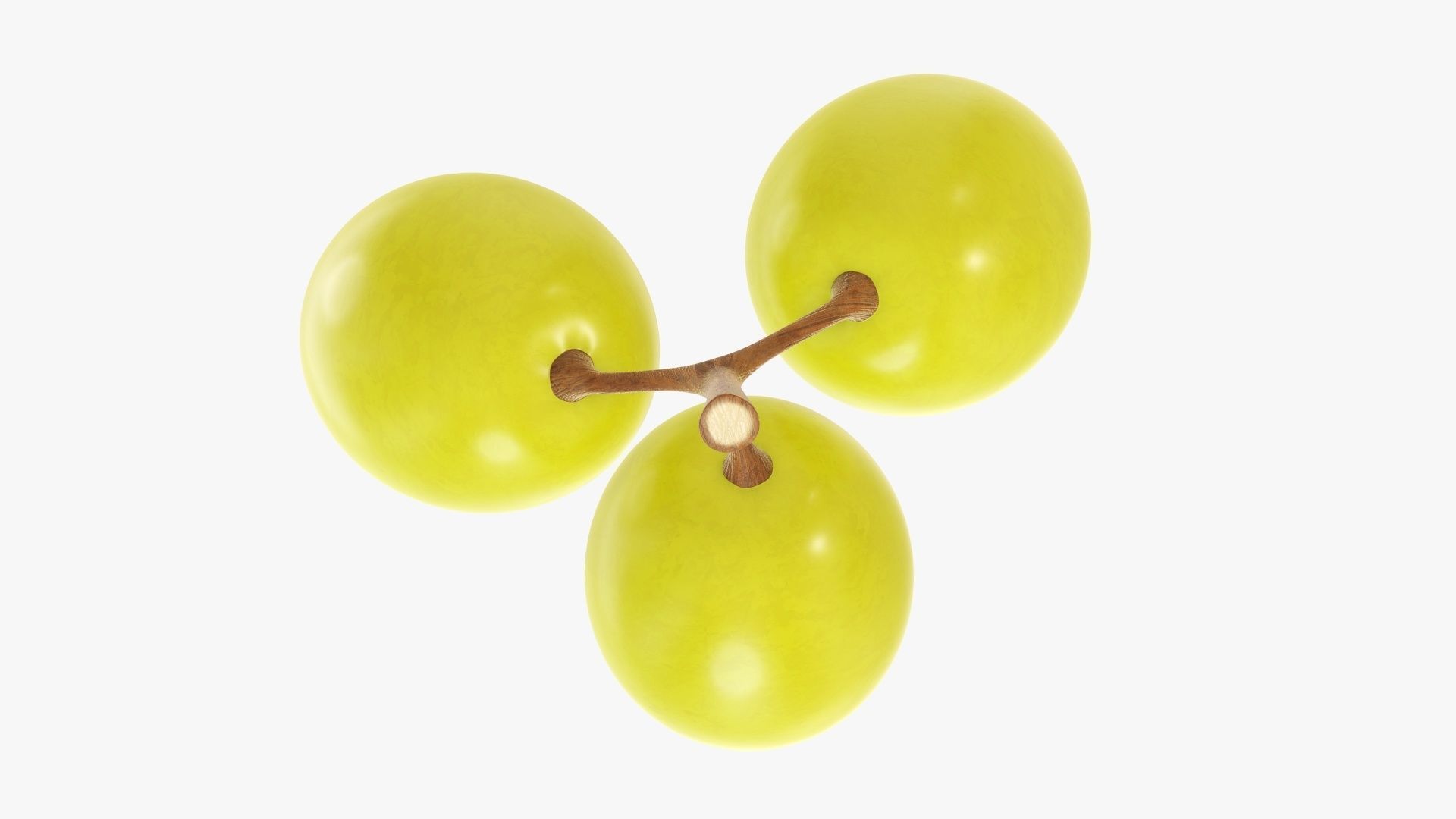 Grapes 01 3D model_5