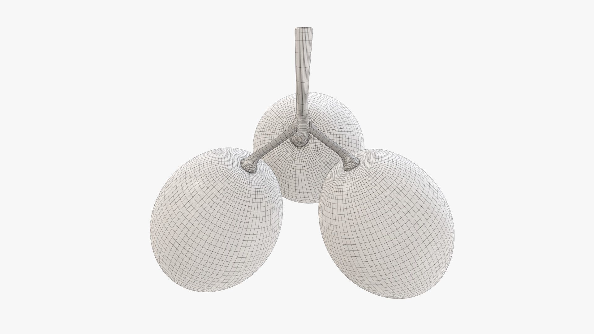 Grapes 01 3D model_8