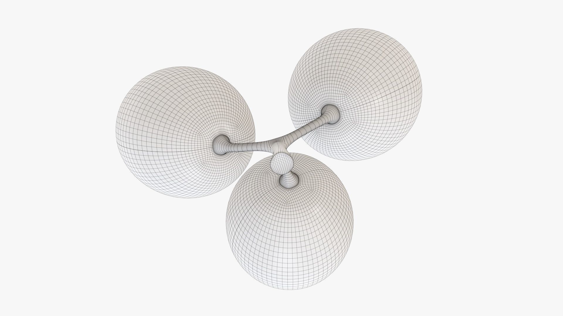 Grapes 01 3D model_11