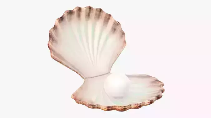  Seashell with pearl inside 3D model