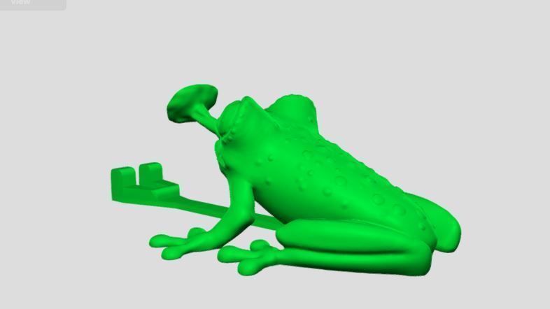 Frog holder 3D print model_5