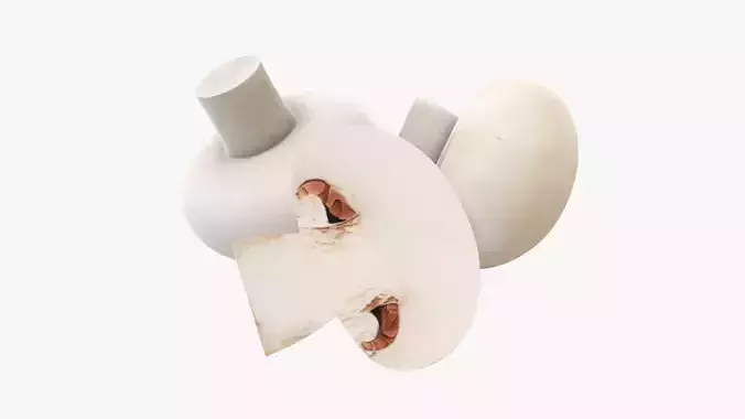 Champignon mushrooms