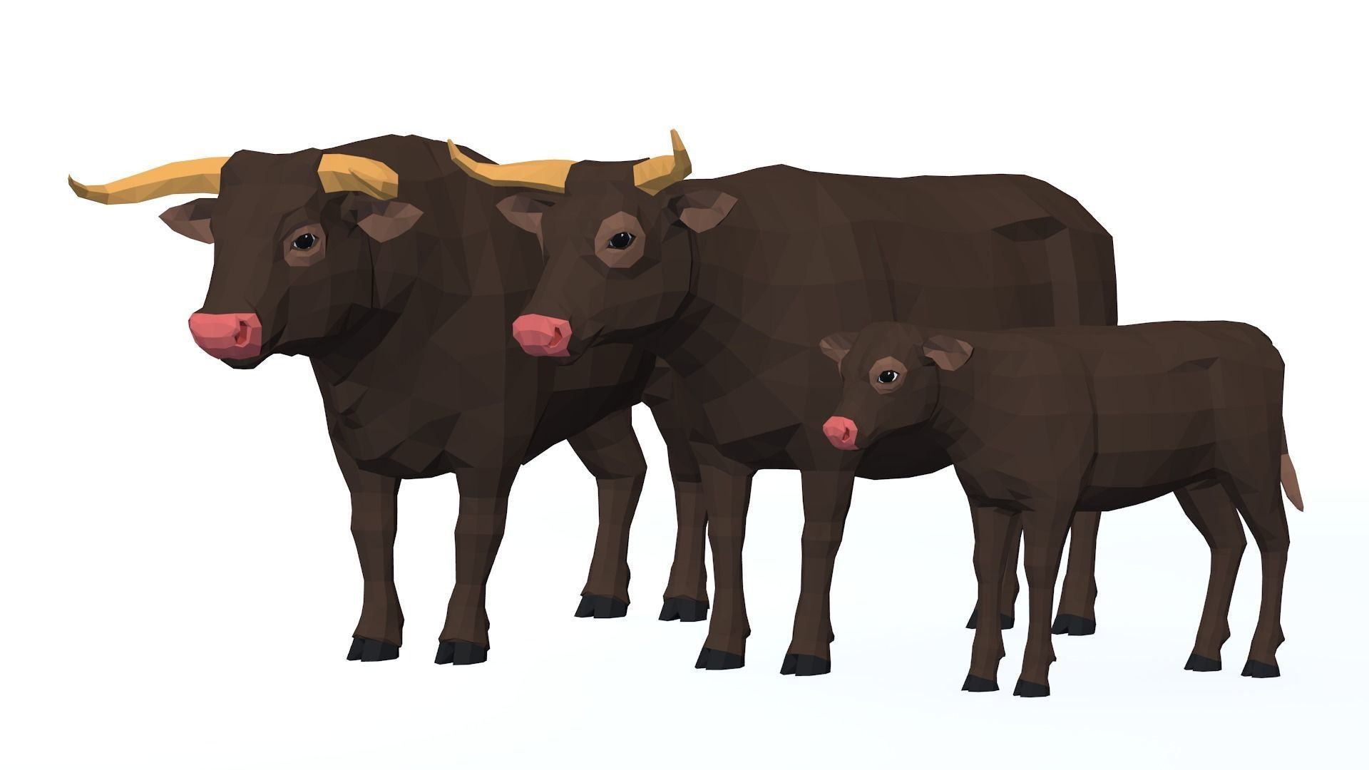 LowPoly Cows pack Low-poly 3D model_4
