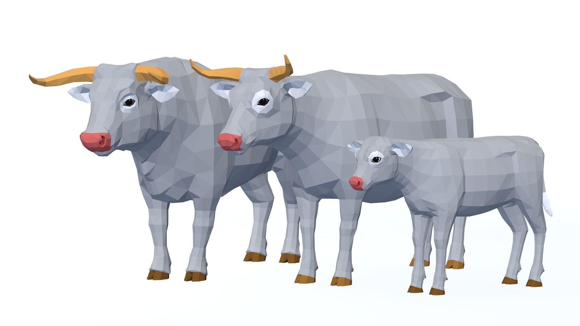 LowPoly Cows pack Low-poly 3D model_11
