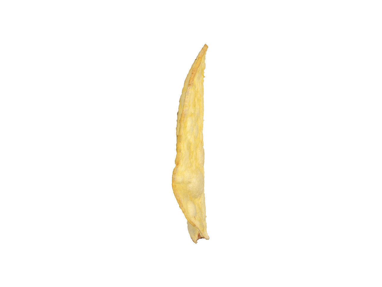 Photorealistic Potato Chip 3D Scan 3D model_1