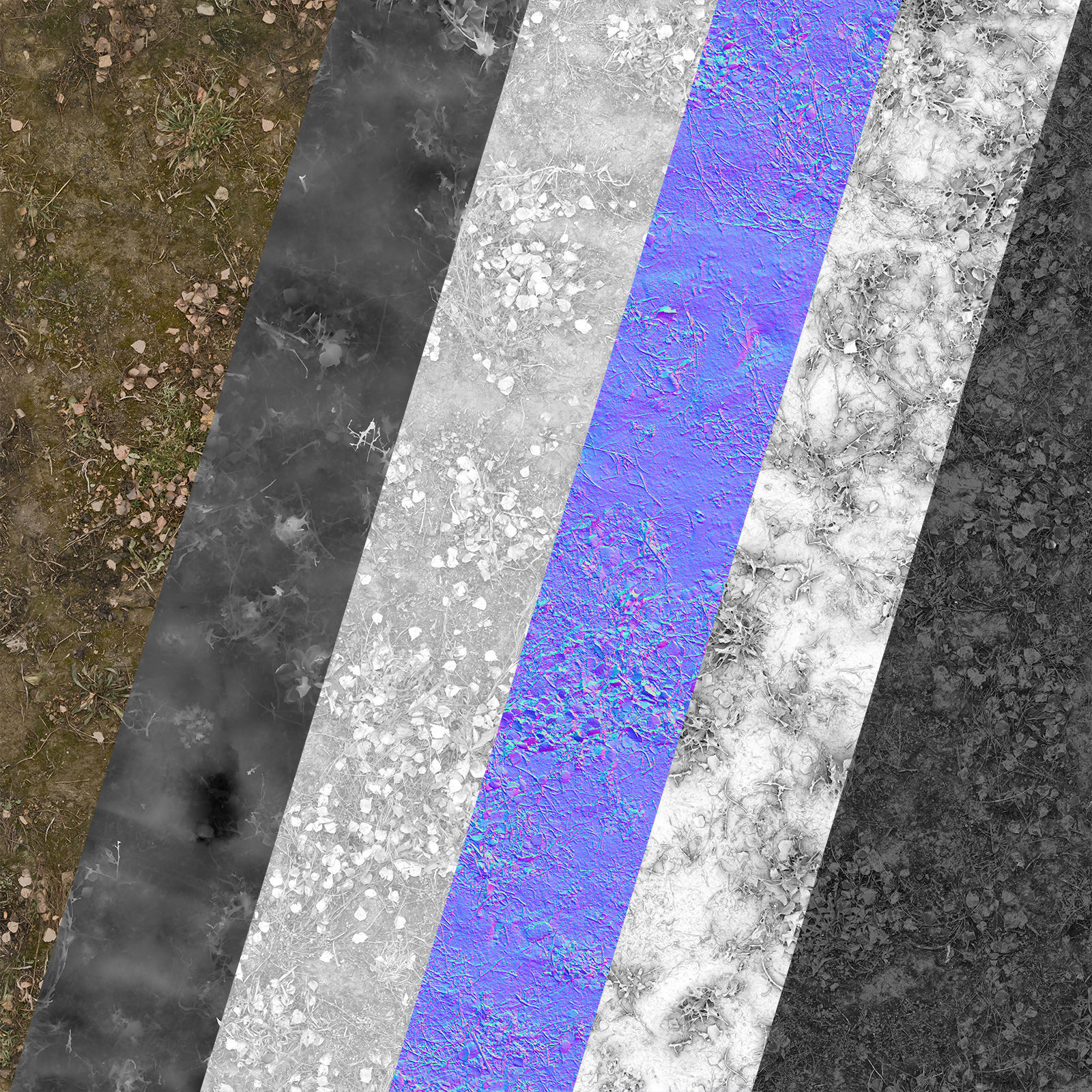 Ultra realistic Soil Scan 3D model_3