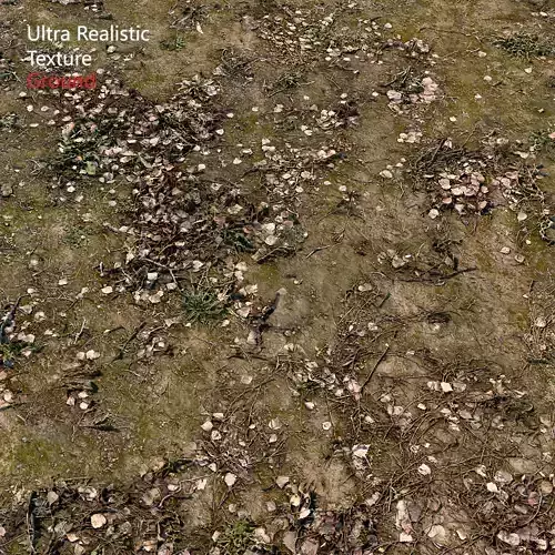 Ultra realistic Soil Scan