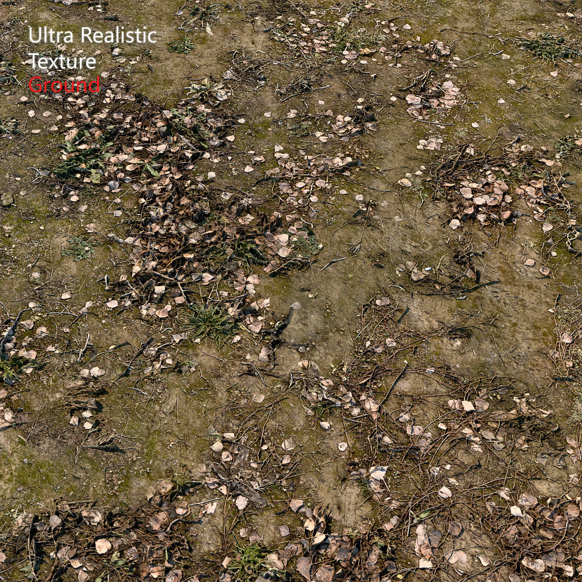 Ultra realistic Soil Scan 3D model_0