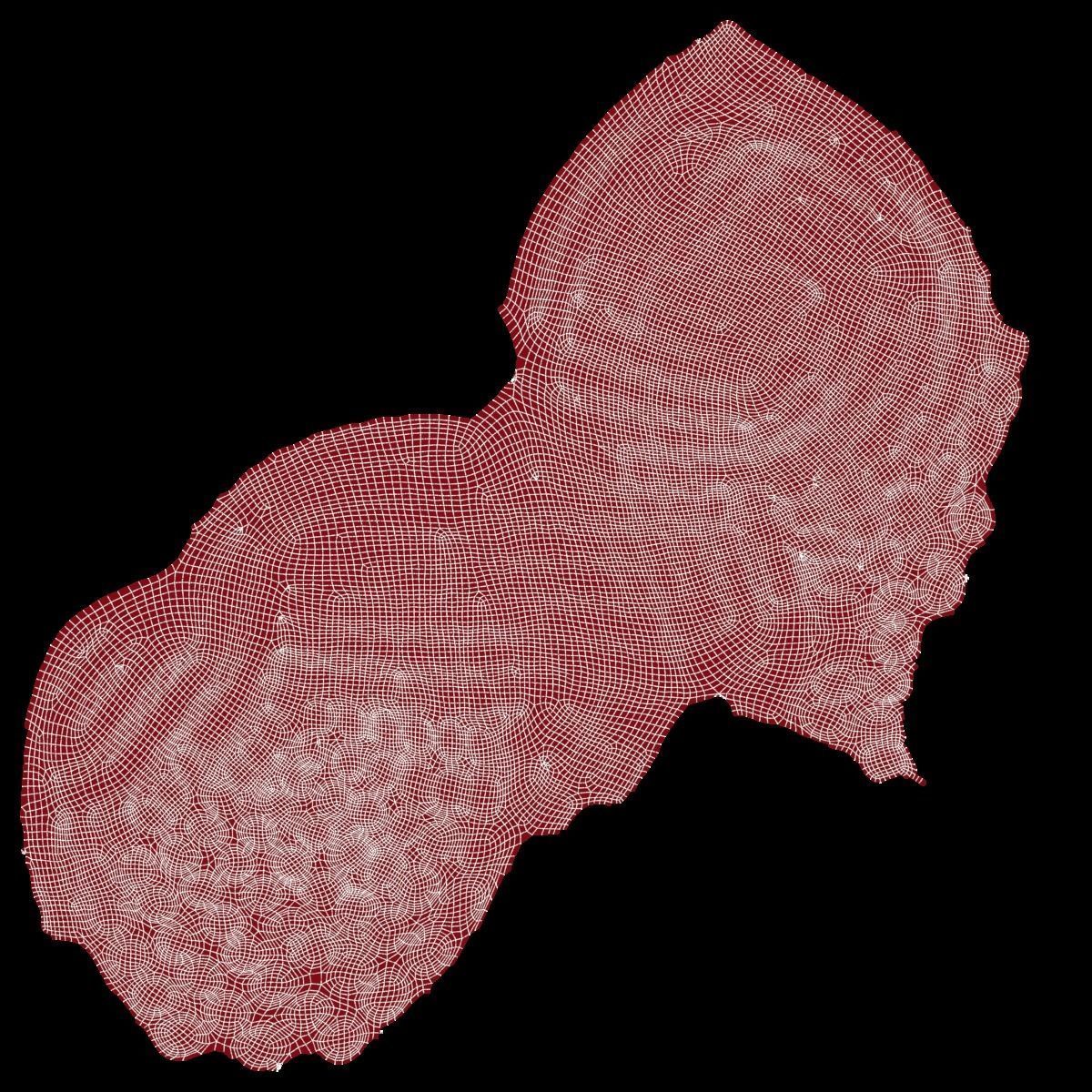 Framboises candy 3D model_6