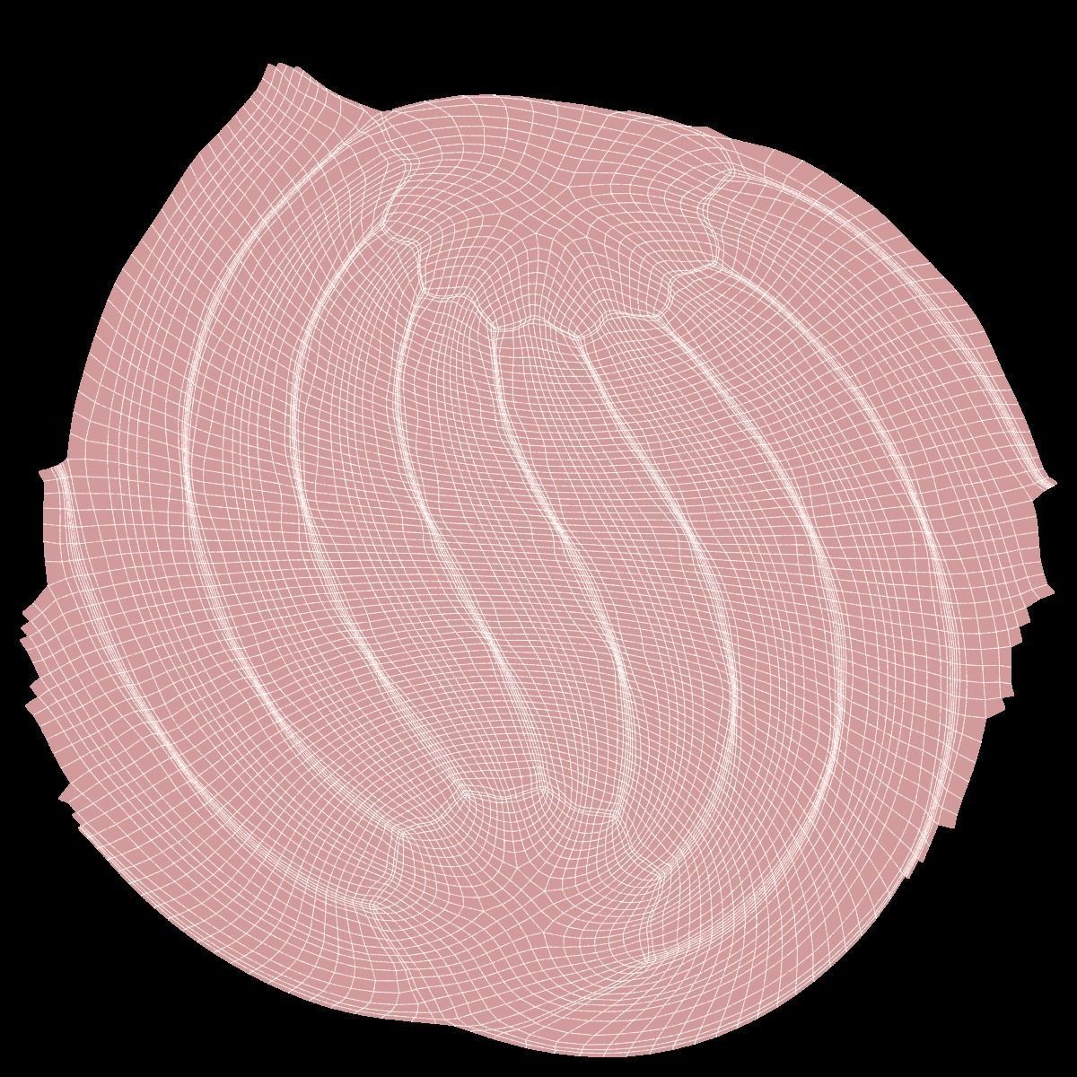 Liquorice reglisse Low-poly 3D model_6