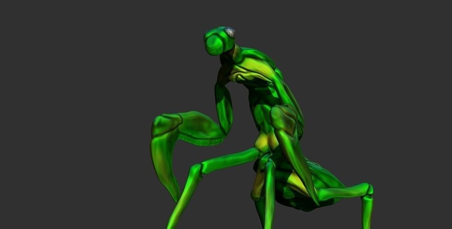 Mantis Free low-poly 3D model_2