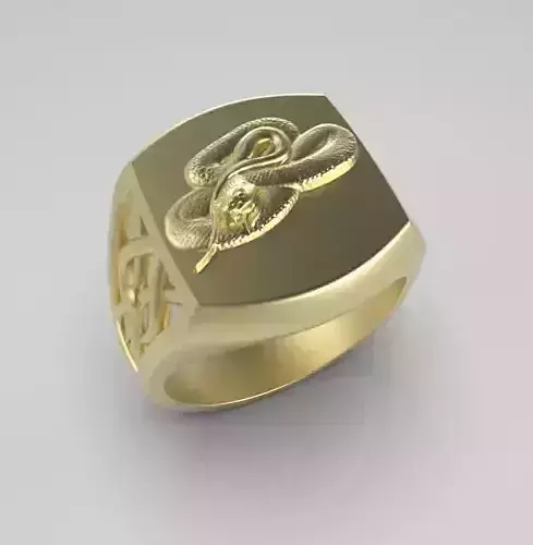 Chinese Zodiac Snake