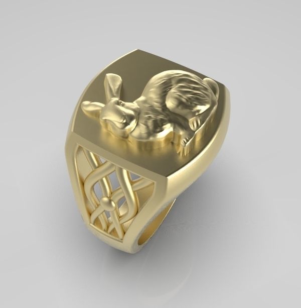 Chinese Zodiac Rabbit 3D print model_7