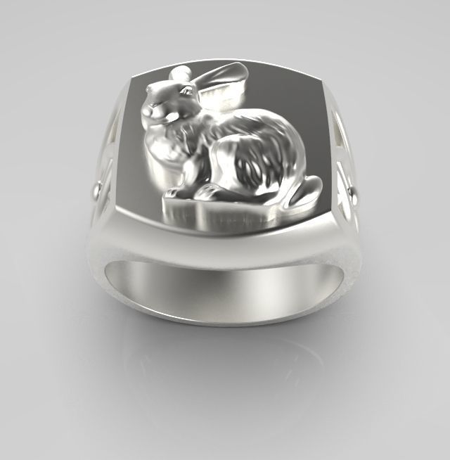 Chinese Zodiac Rabbit 3D print model_16