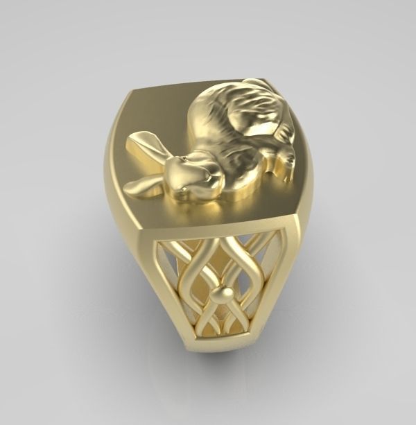 Chinese Zodiac Rabbit 3D print model_6