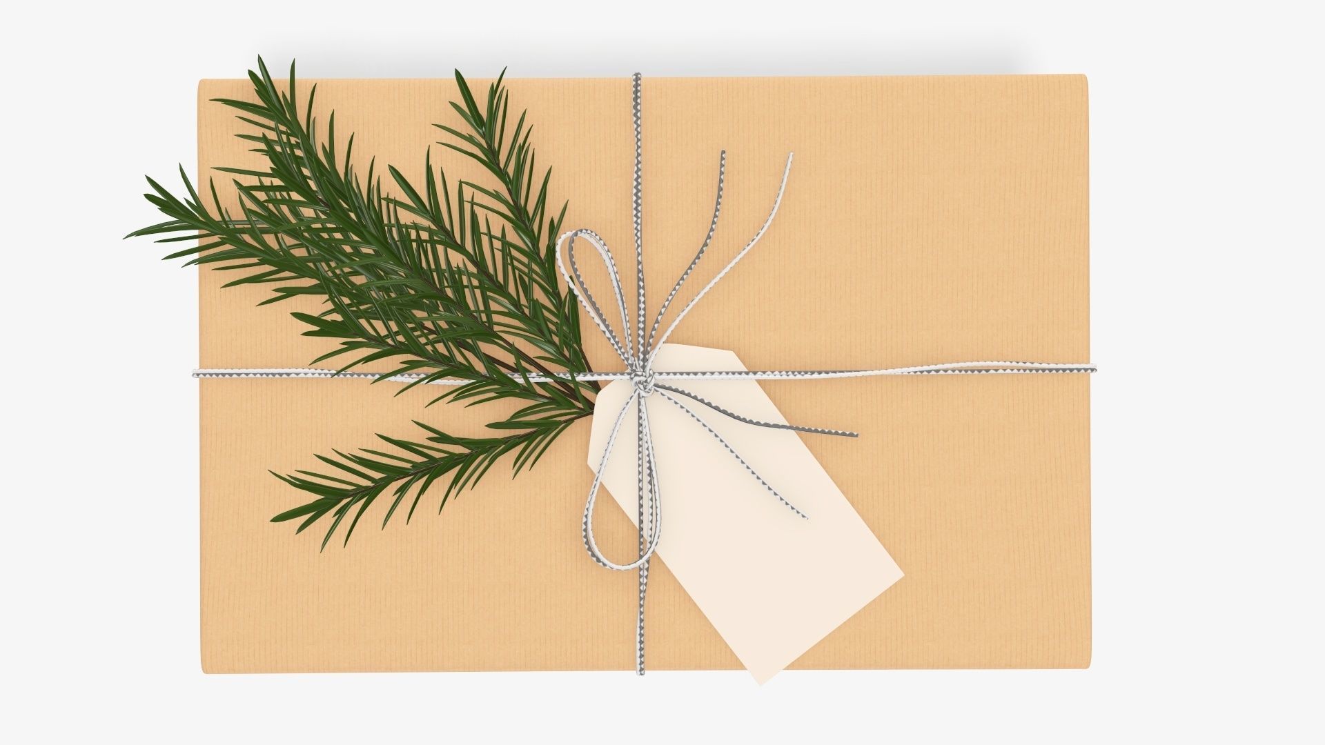 Wrapped Christmas gift 05 3D model_4