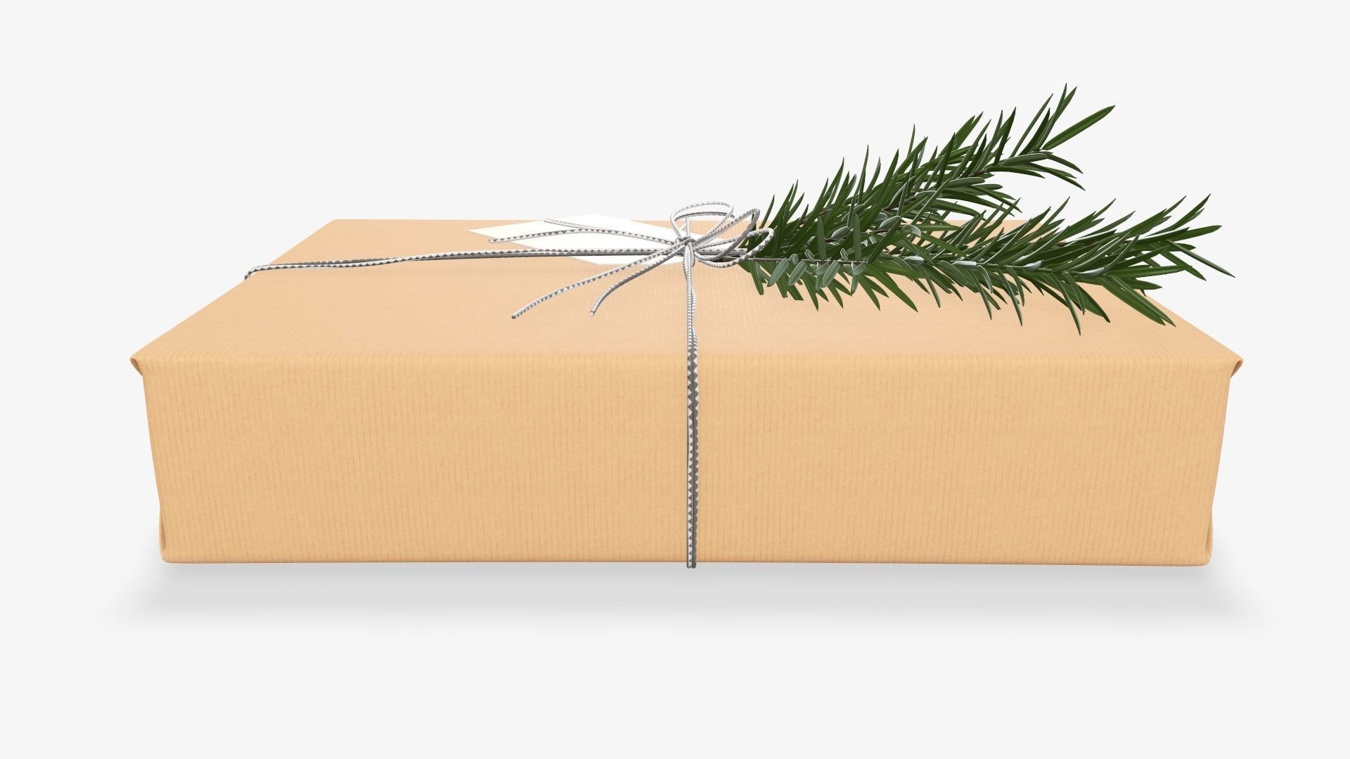 Wrapped Christmas gift 05 3D model_3