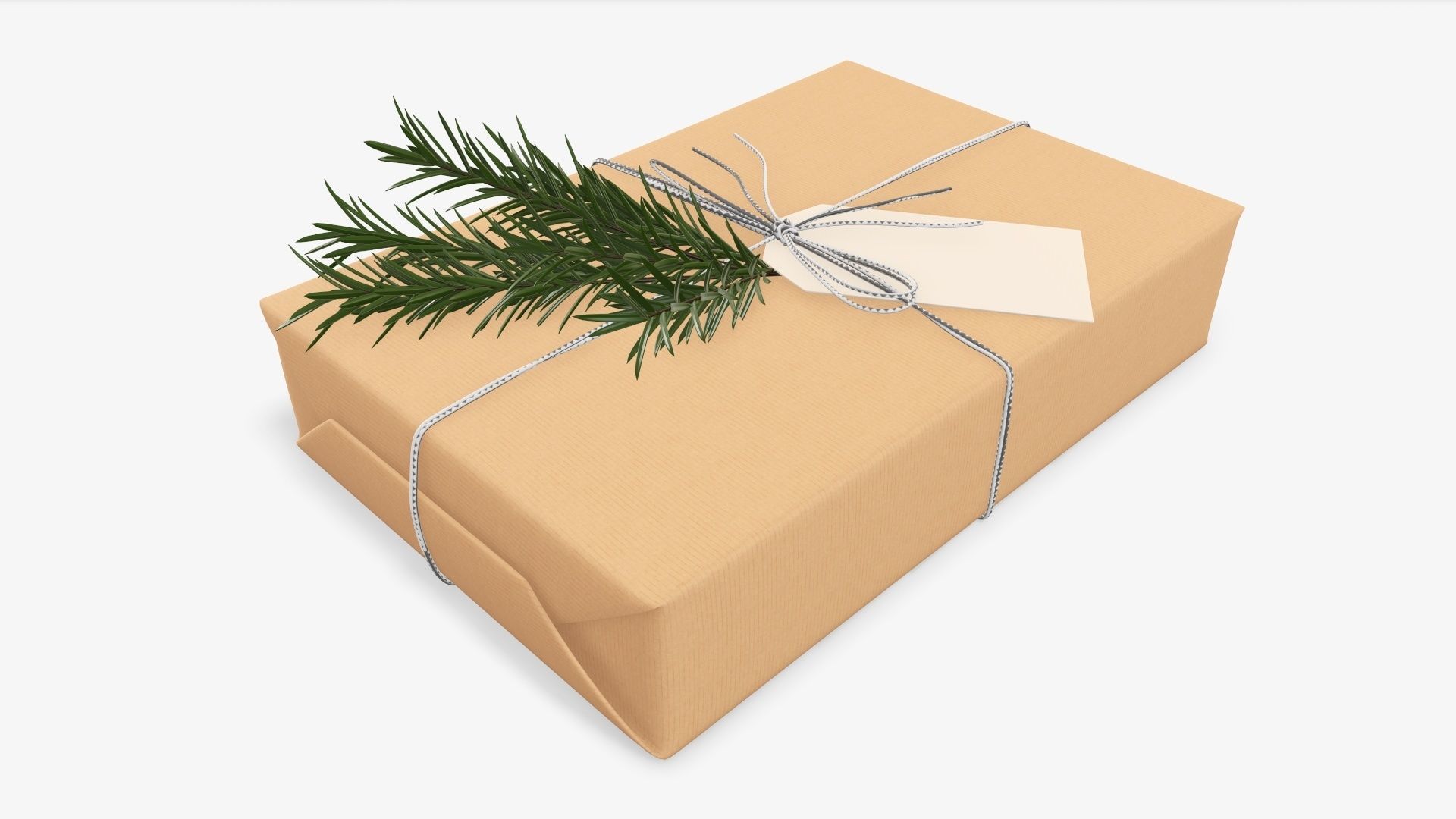 Wrapped Christmas gift 05 3D model_1