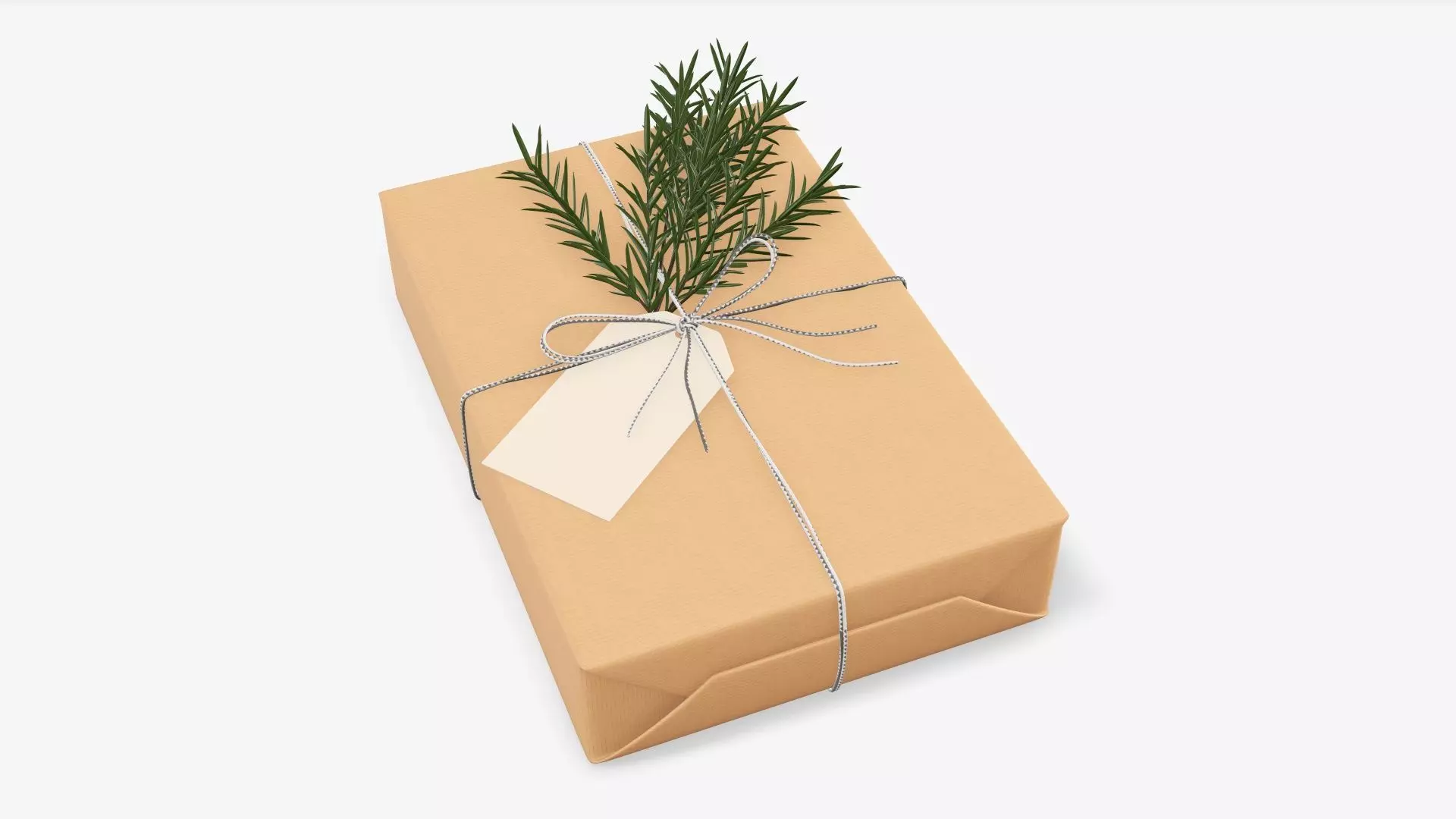 Wrapped Christmas gift 05 3D model_0