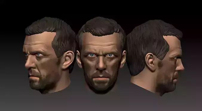 House MD -Hugh Laurie 3D print model