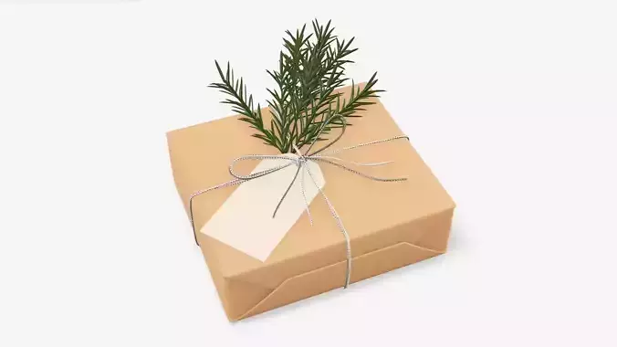 Wrapped Christmas gift 06 3D model