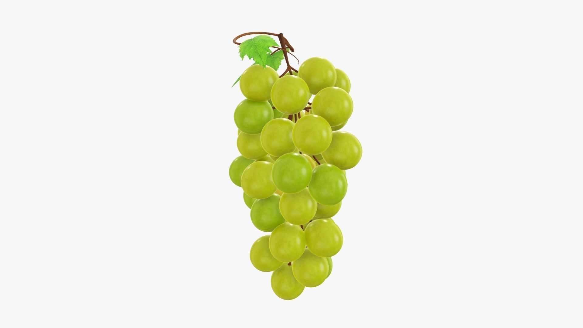 Grapes 02 3D model_3