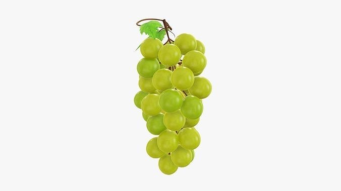 Grapes 02 3D model 4