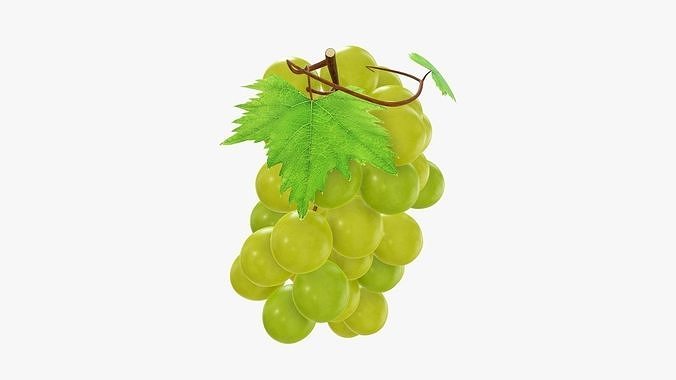 Grapes 02 3D model 5
