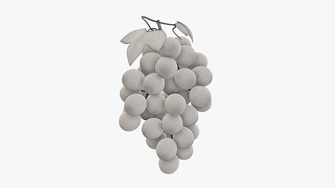 Grapes 02 3D model 7