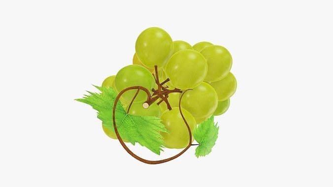 Grapes 02 3D model 6